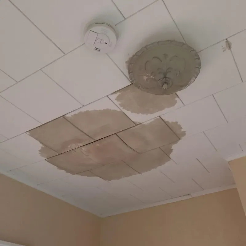 Ceiling Water Damage Repair in Red Willow County, NE