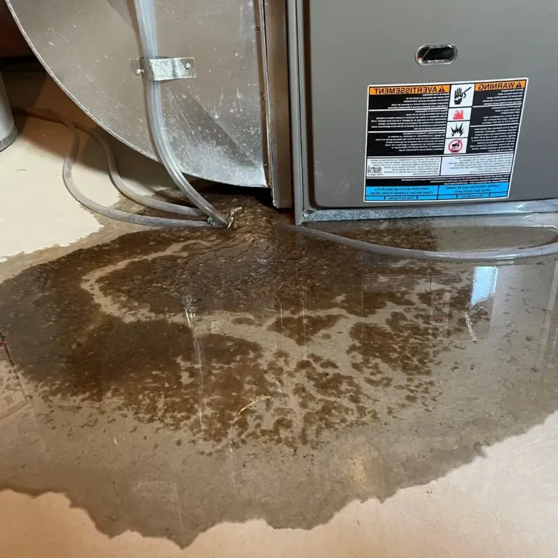 Pipe Burst and Leak Restoration in Red Willow County, NE