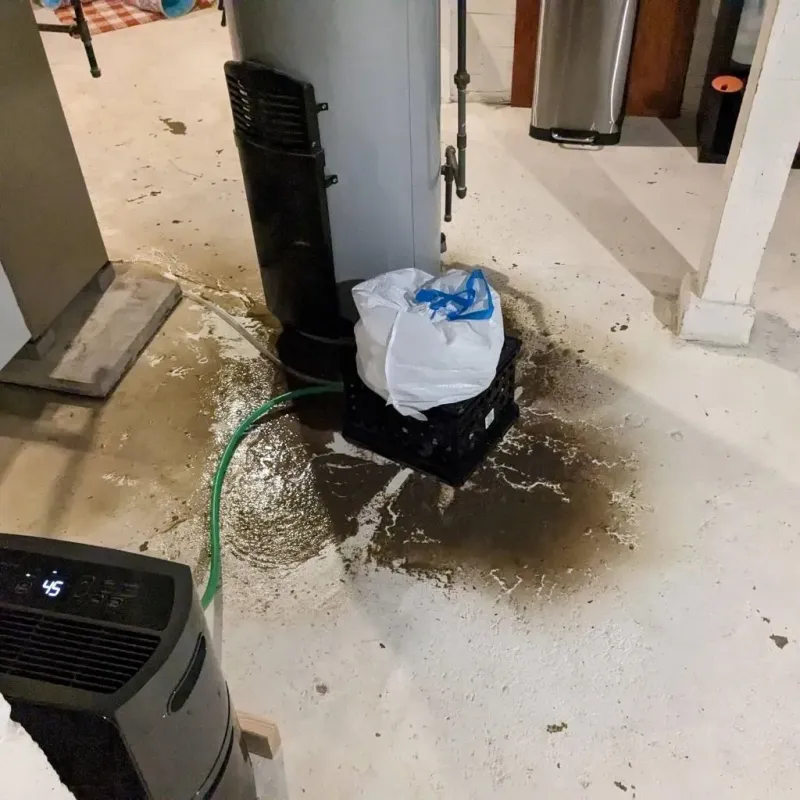 Sewage Backup Cleanup Service in Red Willow County, NE